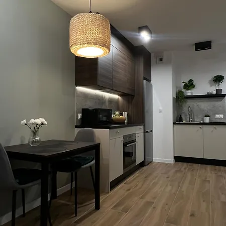 Apartment Wygodny Piotrkowska Centrum Lodz (Lodz)